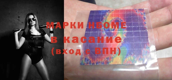 стаф Алзамай