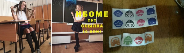 дмт Алексин