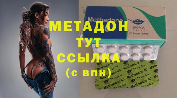стаф Алзамай