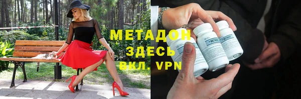 стаф Алзамай