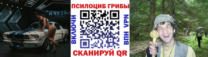 где продают   Петровск-Забайкальский  Псилоцибиновые грибы ЛСД 